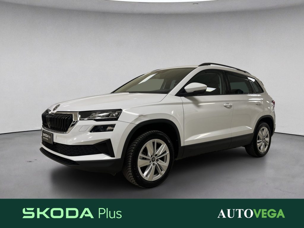 Immagine veicolo SKODA Karoq 2.0 tdi executive 4x4 150cv dsg Diesel