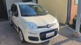FIAT Panda 1.2 Pop PREZZO REALE - NEOPATENTATI - FINANZIABILE
