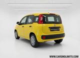 FIAT Panda 1.0 FireFly S&S Hybrid Pandina