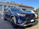 TOYOTA RAV 4 Rav4 V 2019 Rav4 2.5 vvt-ie h Adventure awd-i 222c