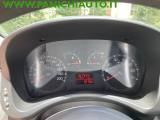 FIAT Panda 1.3 MJT 16V 4x4 Climbing