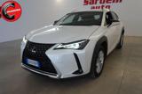 LEXUS UX Full Electric UX Hybrid Business