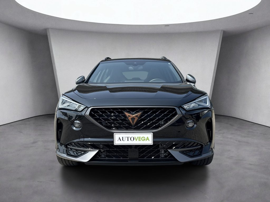 immagine usato CUPRA Formentor 1.4 e-hybrid 204cv dsg