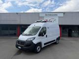 VENDO Veicoli commerciali a Sabbioneta – foto 1