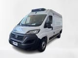FIAT Ducato 30 2.2 Mjt 120CV PM-TM Furgone FRIGO