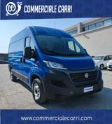 VENDO Veicoli commerciali a Corato – foto 1