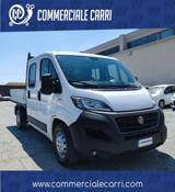 VENDO Veicoli commerciali a Corato – foto 1