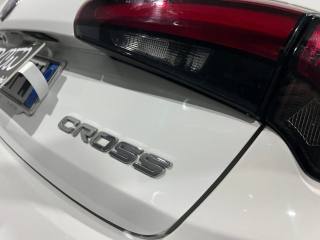 FIAT Tipo usata, con Controllo automatico clima
