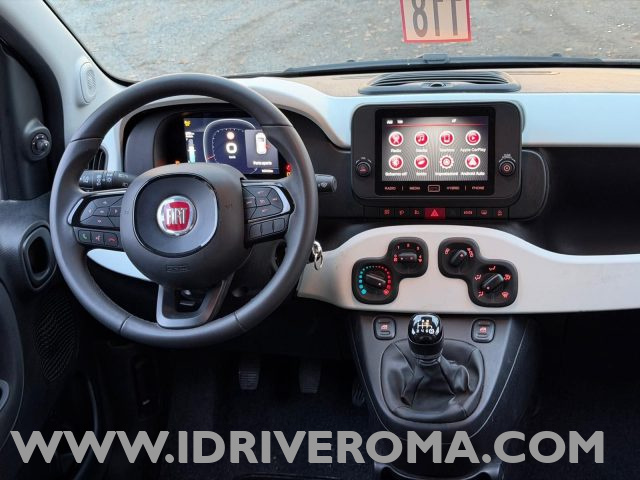 FIAT PANDA CROSS NEW PANDA "LA PANDINA CROSS" BLU - foto 7