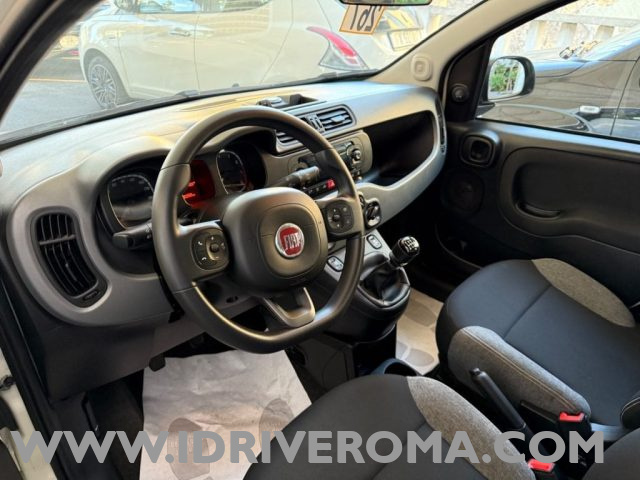 FIAT PANDA 1.0 FIREFLY HYBRID CITY-LIFE - foto 6