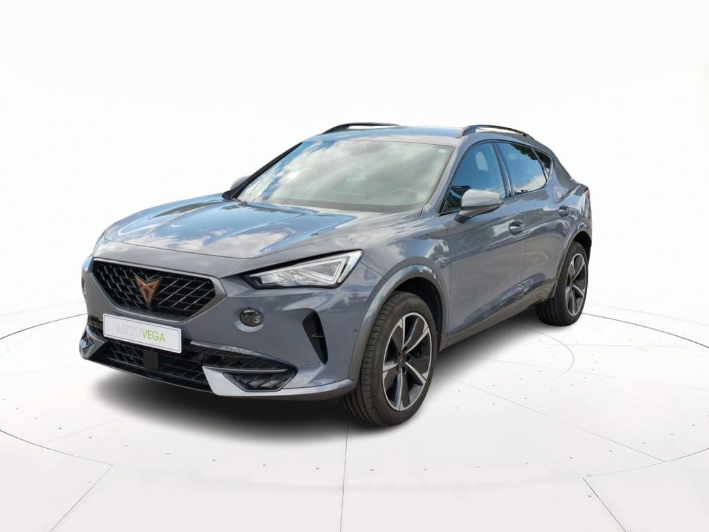 Immagine veicolo CUPRA Formentor 2.0 tsi 4drive 190cv dsg Benzina