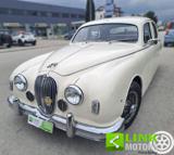VENDO Auto a Ancona – foto 1
