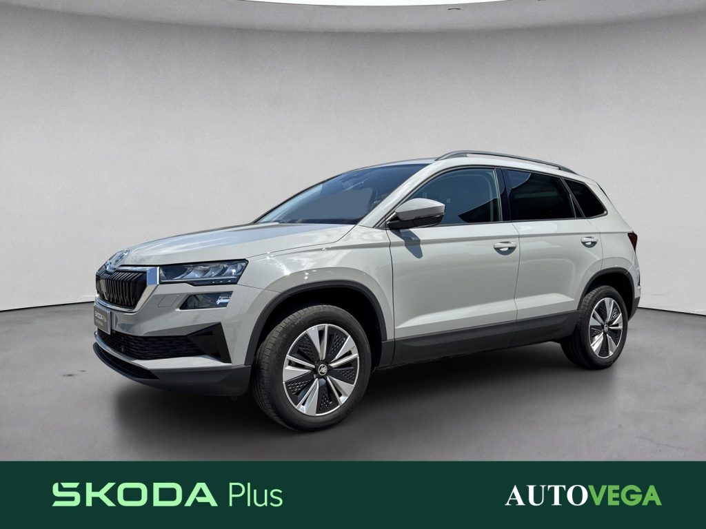 Immagine veicolo SKODA Karoq 1.5 tsi executive Benzina