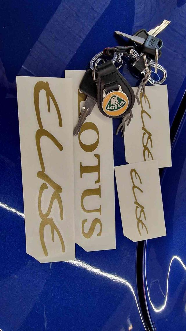 LOTUS ELISE S1 CARBON LOOK!! COLORAZIONE RAR - foto 15
