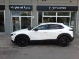VENDO Auto a Firenze – foto 1