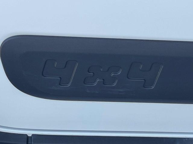 FIAT PANDA 0.9 TWINAIR TURBO S&S 4X4 WILD E - foto 18