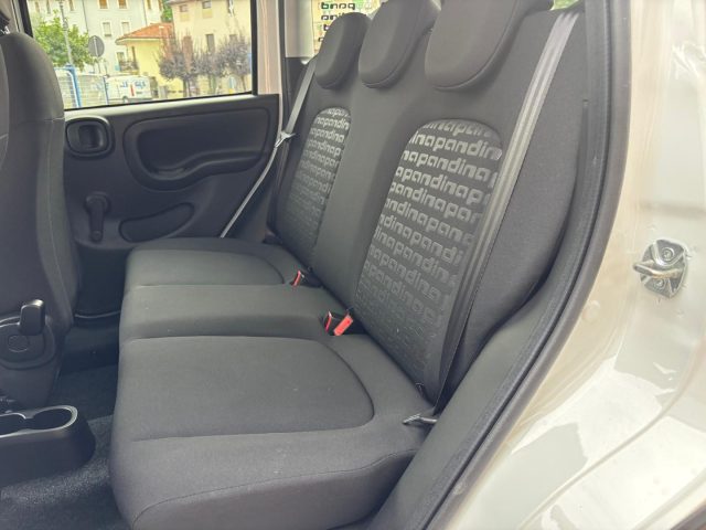 FIAT PANDINA CROSS 1.0 HYBRID 65CV--FOTO ILLU - foto 11