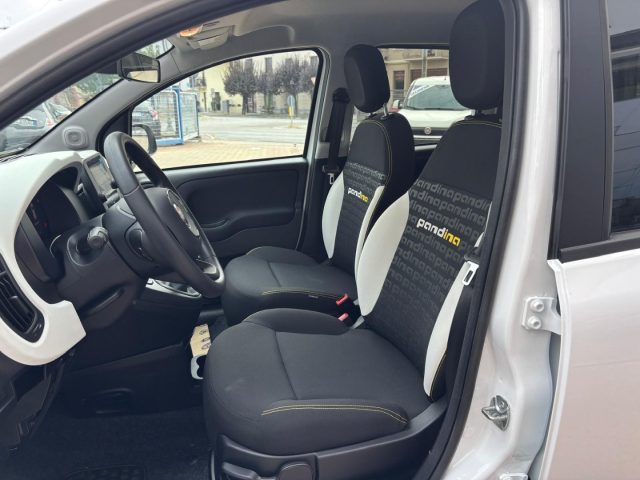 FIAT PANDINA CROSS 1.0 HYBRID 65CV--FOTO ILLU - foto 8