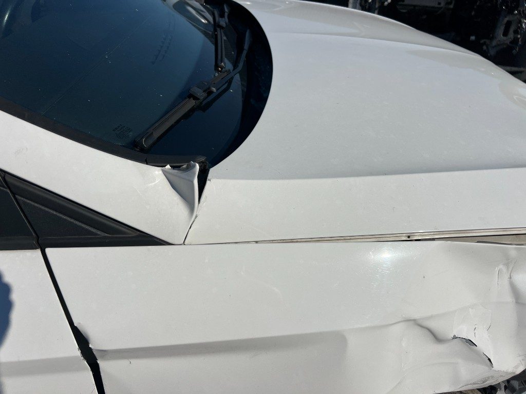 Immagine di SEAT Leon 1.4 TSI 125 CV 5p. Start/Stop FR del 01/2017 km 149476