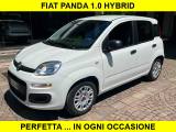VENDO Auto a Rosà – foto 1