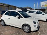 VENDO Auto a Vedelago – foto 1