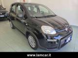 VENDO Auto a Vasto – foto 1