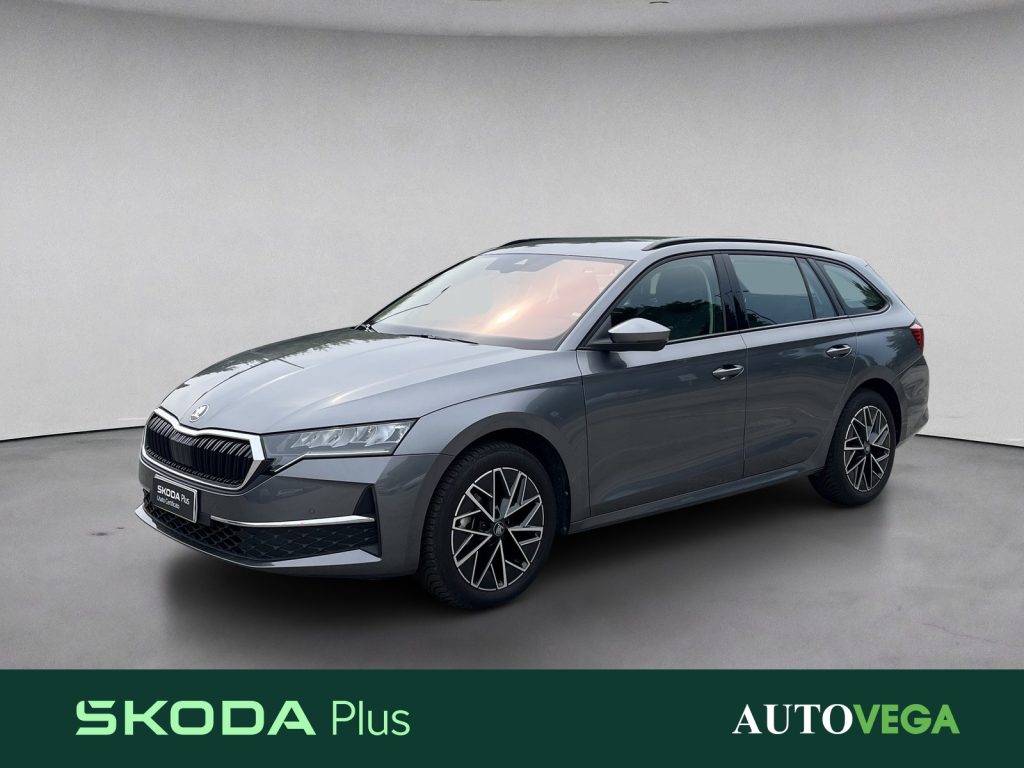 Immagine veicolo SKODA Octavia wagon 2.0 tdi executive 150cv dsg Diesel