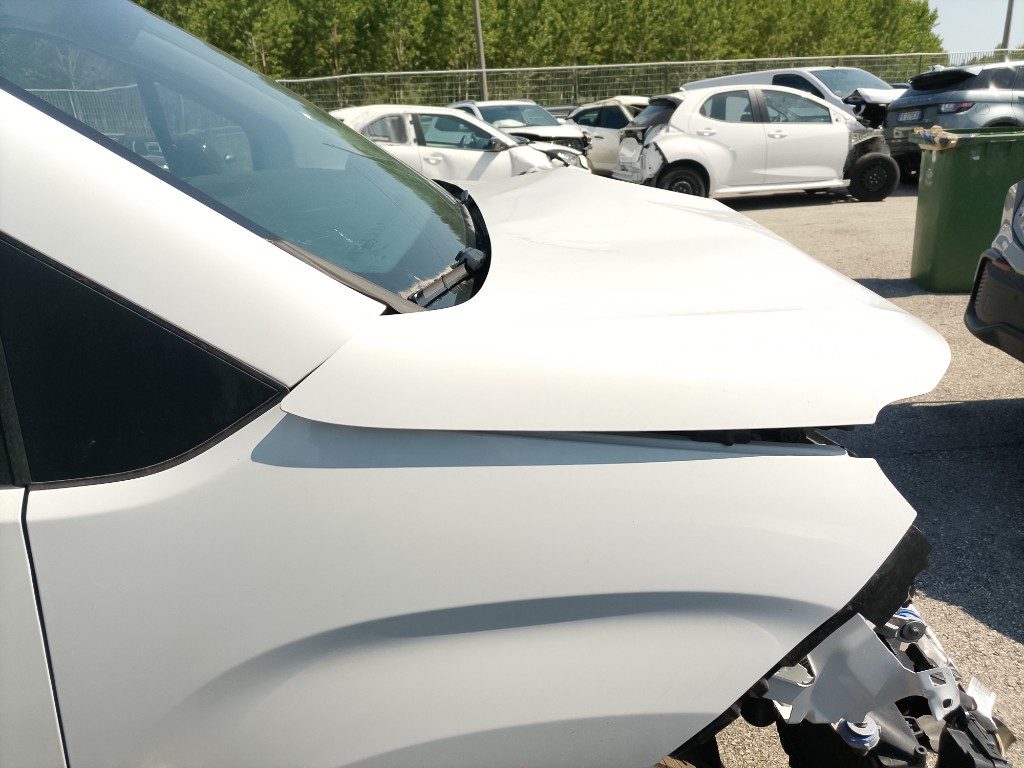 Immagine di TOYOTA Proace City 1.2 110 CV S&S del 07/2025 km 1388