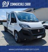 VENDO Veicoli commerciali a Corato – foto 1