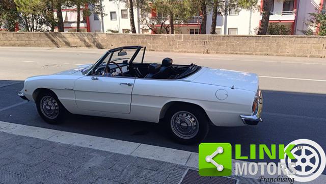 ALFA ROMEO SPIDER 1.6 JUNIOR TARGA ORO - foto 19
