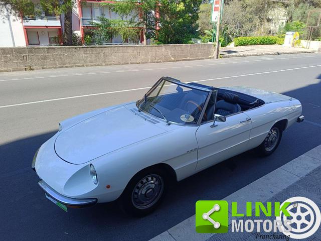ALFA ROMEO SPIDER 1.6 JUNIOR TARGA ORO - foto 25