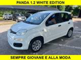 VENDO Auto a Rosà – foto 1