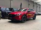 VENDO Auto a Bologna – foto 1