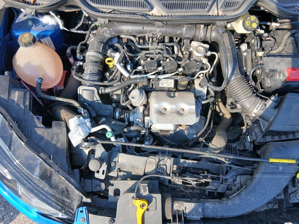 Immagine di FORD EcoSport 1.0 EcoBoost 125 CV Start&Stop del 12/2021 km 78064