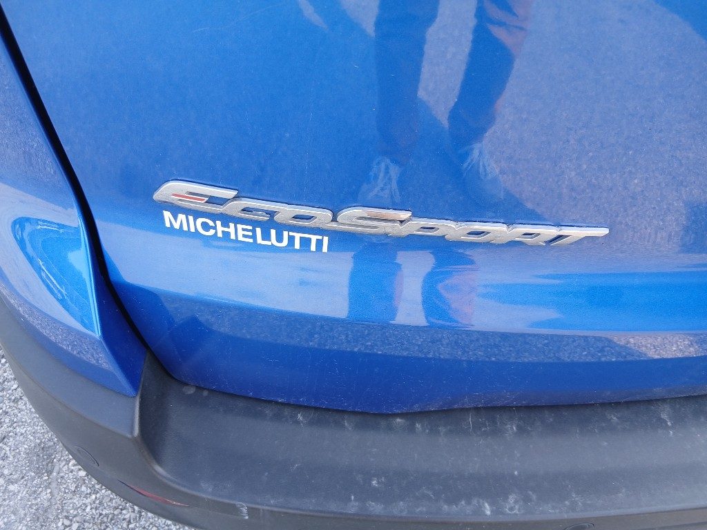 Immagine di FORD EcoSport 1.0 EcoBoost 125 CV Start&Stop del 12/2021 km 78064