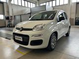 VENDO Auto a Piazzola sul Brenta – foto 1