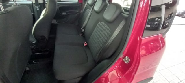 FIAT PANDA CROSS 1.0 FIREFLY S&S HYBRID - foto 9
