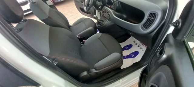 FIAT PANDA 1.2 EASY - foto 6