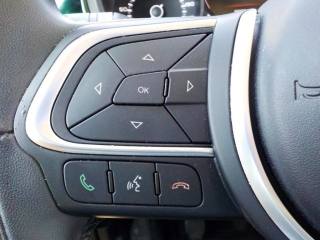 FIAT 500L usata, con Marmitta catalitica