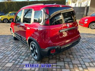 FIAT Pandina usata, con Climatizzatore