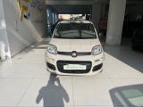VENDO Auto a Somma Vesuviana – foto 1