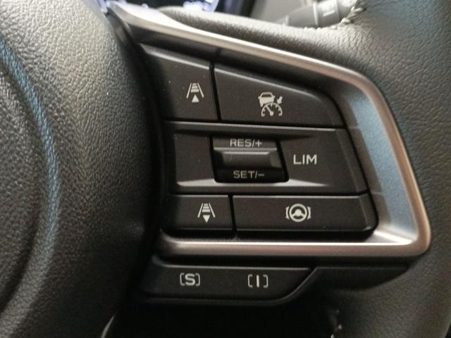 SUBARU CROSSTREK 2.0I E-BOXER MHEV CVT LINEARTRON - foto 11