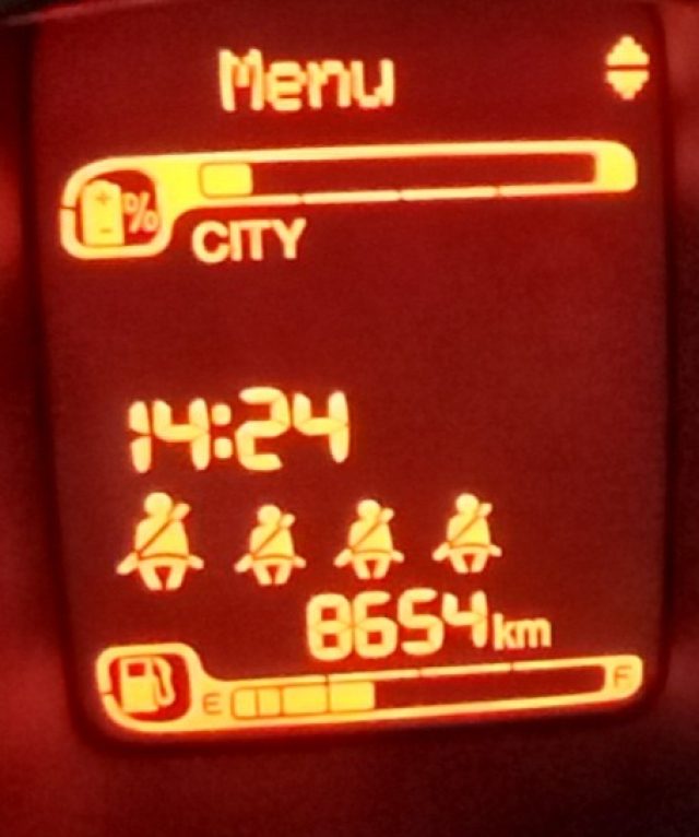 FIAT PANDA 1.0 FIREFLY S&S HYBRID - foto 10