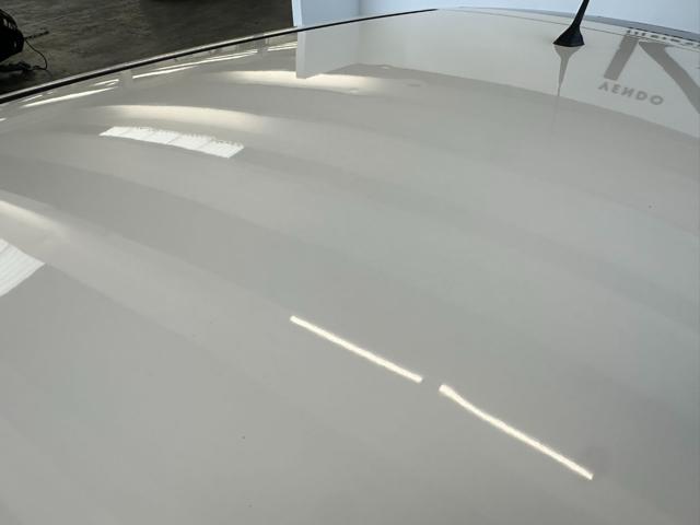 NISSAN LEAF ACENTA 40 KWH - foto 11