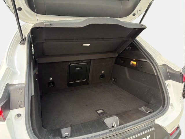 ALFA ROMEO TONALE 1.6 DIESEL 130 CV - foto 13