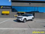 VENDO Auto a Cremosano – foto 1