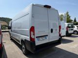 VENDO Veicoli commerciali a Tolentino – foto 1