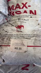VENDO Veicoli commerciali a Asigliano Veneto – foto 1