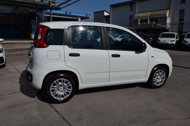 FIAT PANDA 1.0 FIREFLY HYBRID ICON S&S 65CV - foto 6