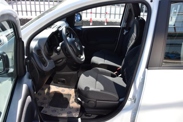 FIAT PANDA 1.0 FIREFLY HYBRID ICON S&S 65CV - foto 15